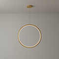 LED Ring Pendant Light