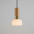Modern Pendant Light